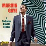 Marvin Gaye - A Stubborn Kind Of Fellow