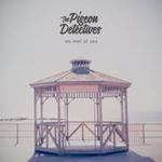 Pigeon Detectives - We Met At Sea