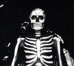 Maine, The - Forever Halloween