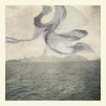 Snow Ghosts - A Small Murmuration