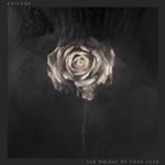 Editors - The Weight Of Your Love