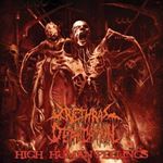 Urethral Defecation - High Human Feelings