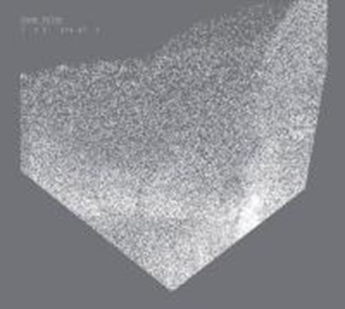 Snow Palms - Intervals