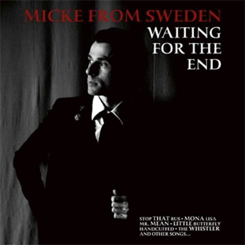 Mike From Sweden - Waiting For The End