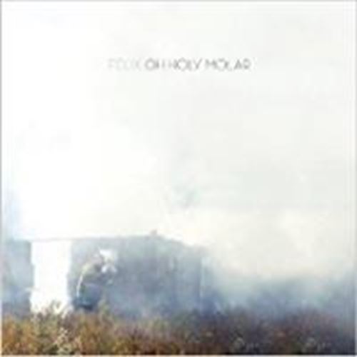 Felix - Oh Holy Molar