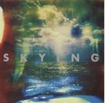 Horrors - Skying