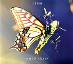 Amon Tobin - Isam