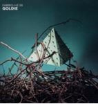 Various - Fabriclive 58 - Goldie