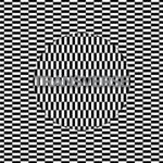 Carter Tutti Void - Transverse