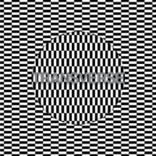 Carter Tutti Void - Transverse