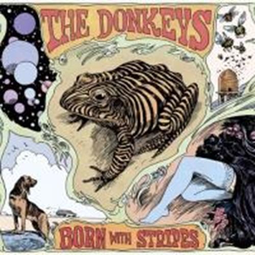 Donkeys - Born With Stripes