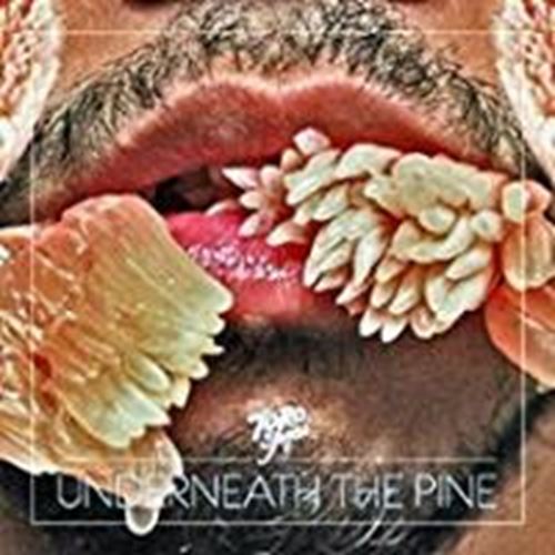 Toro Y Moi - Underneath The Pine