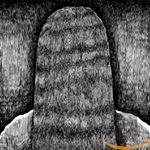Grumbling Fur - Furrier
