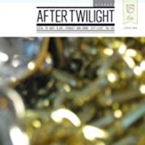 Various - After Twilight