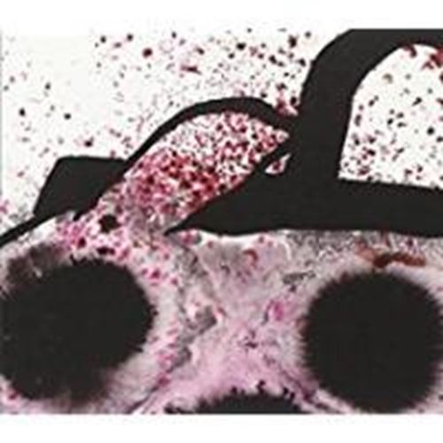 Various - Curle Vol.25 - So Far So Good