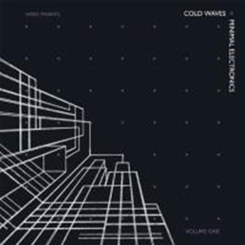 Various - Cold Waves And Minimal Electronics