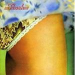 Flash - Flash
