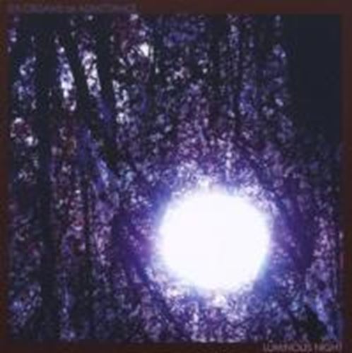 Six Organs Of Admittance - Luminous Night
