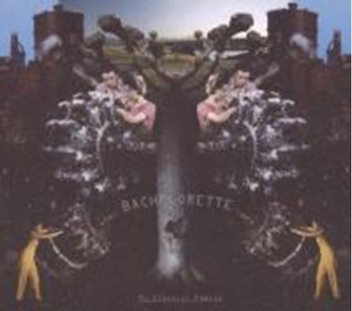 Bachelorette - My Electric Family