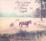 Bill Callahan - Sometimes I Wish We Were An Eagle