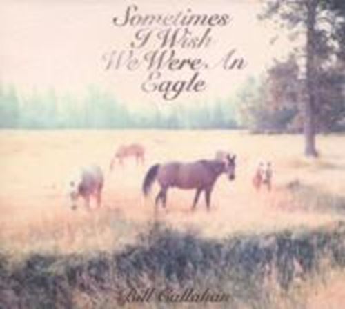 Bill Callahan - Sometimes I Wish We Were An Eagle
