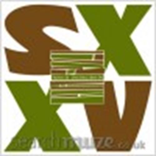 Section 25 - Dirty Disco