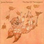 James Yorkston - The Year Of The Leopard
