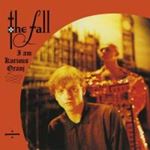 The Fall - I am kurious oranj
