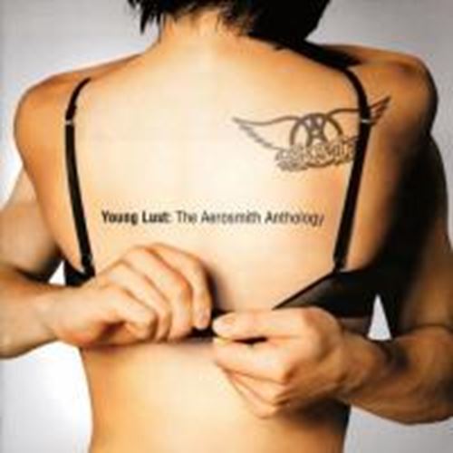 Aerosmith - Young lust anthology
