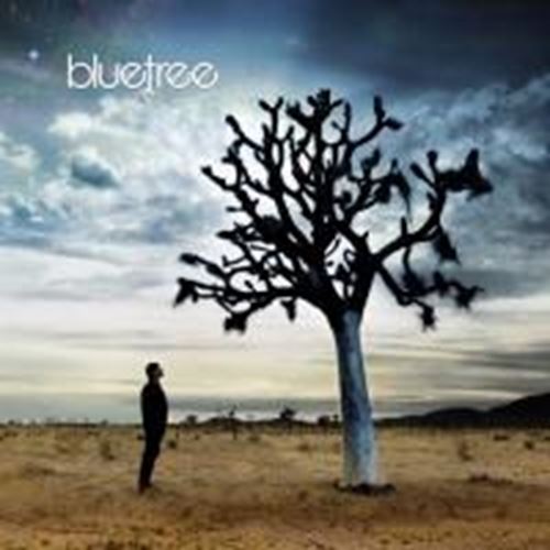 Bluetree - God of This City