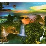 Tortoise - Its all around you
