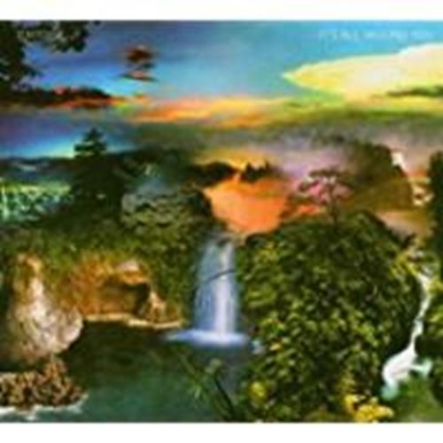 Tortoise - Its all around you