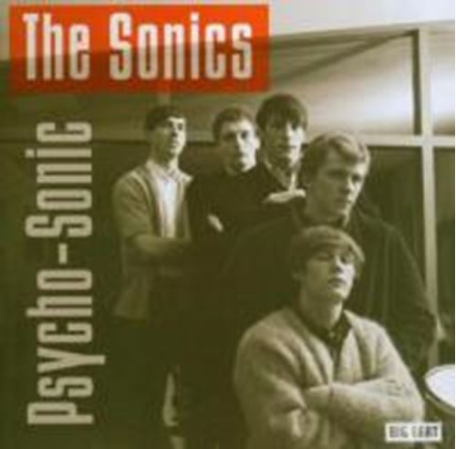 The Sonics - Psycho Sonic
