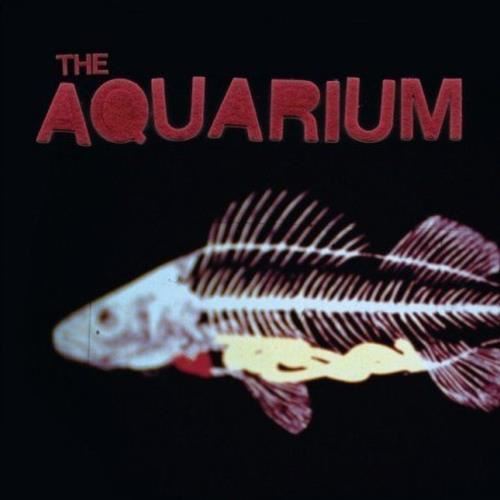 Aquarium - The Aquarium