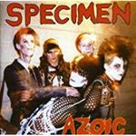 Specimen - Azoic