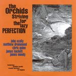 The Orchids - Striving For The Lazy Perfection +