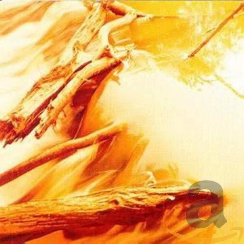 Windy & Carl - Depths