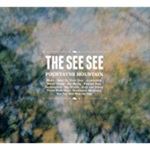 The See See - Fountayne Mountain