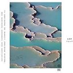 Arp - Zebra