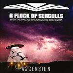 A Flock Of Seagulls - Ascension
