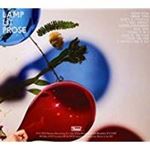Dirty Projectors - Lamp Lit Prose