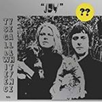 Ty Segall & White Fence - Joy