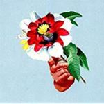 Maribou State - Kingdoms In Colour