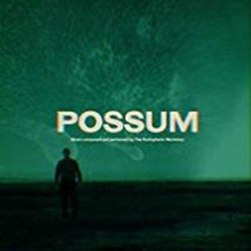 Radiophohnic Workshop - Possum Ost