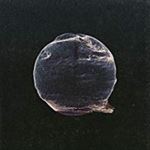 Silent Planet - When The End Began
