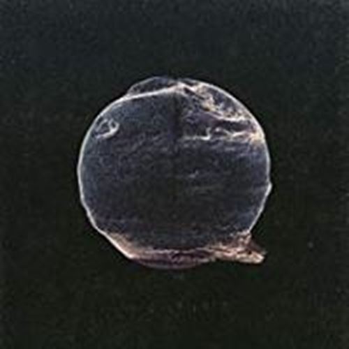 Silent Planet - When The End Began