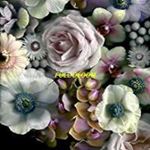 Alpines - Full Bloom