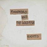 Moonpedro/goldfish - The Beatles Revisited (white Album)