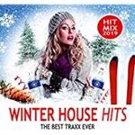 Various - Winter House Hits '19