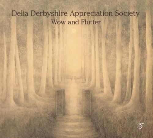 Delia Derbyshire Appreciation Socie - Wow And Flutter